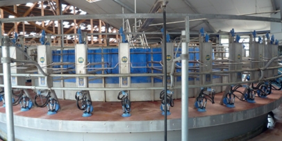 Agriculture