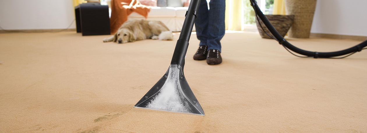 Carpet cleaning